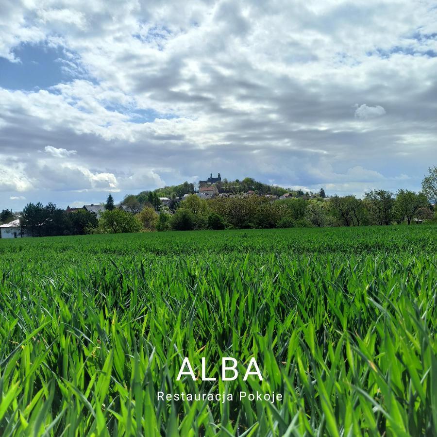 Alba Góra św Anny Restauracja I Pensjonat 3*